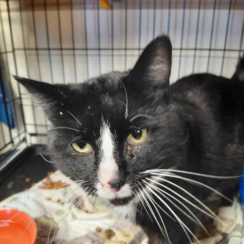 Schooner thumbnail 2