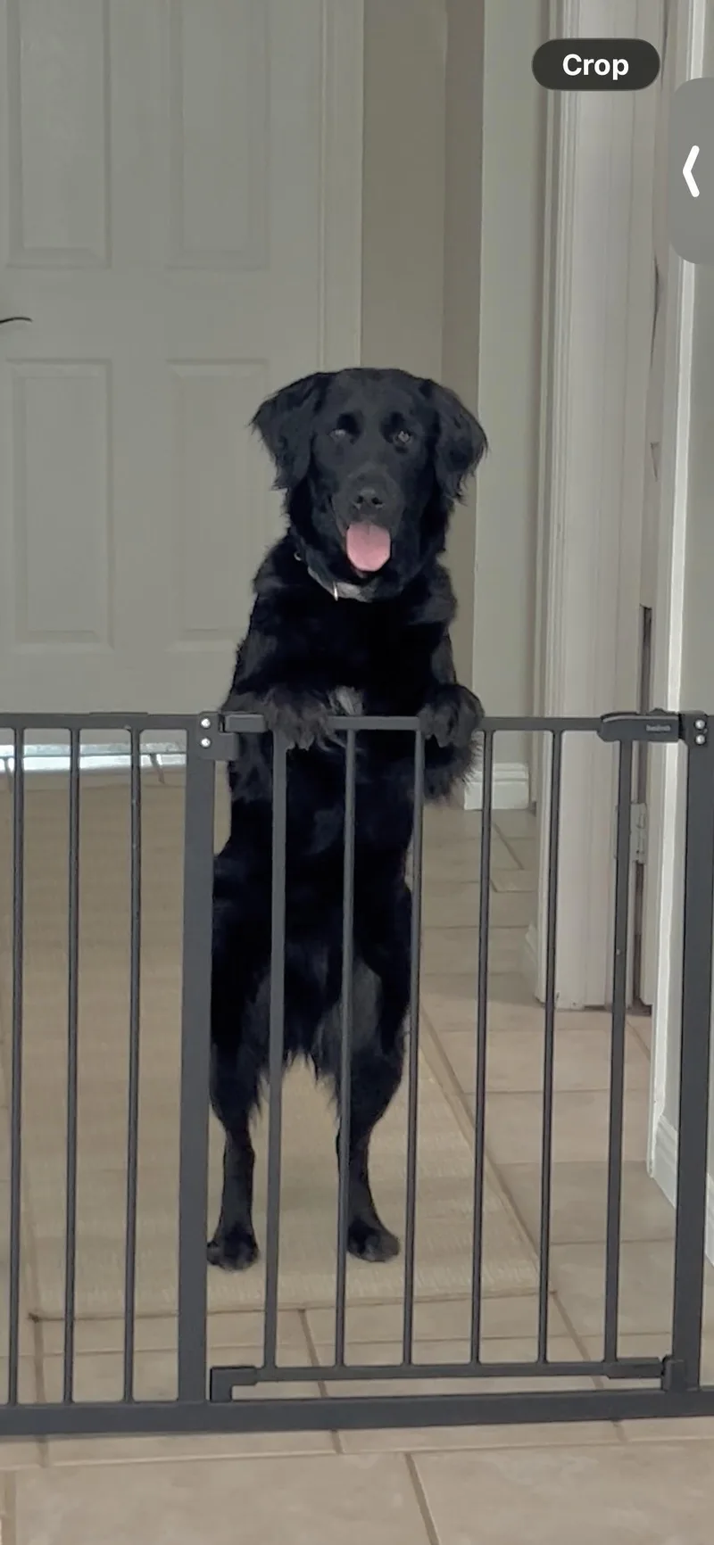 Laila~ Affectionate And Gorgeous thumbnail 4