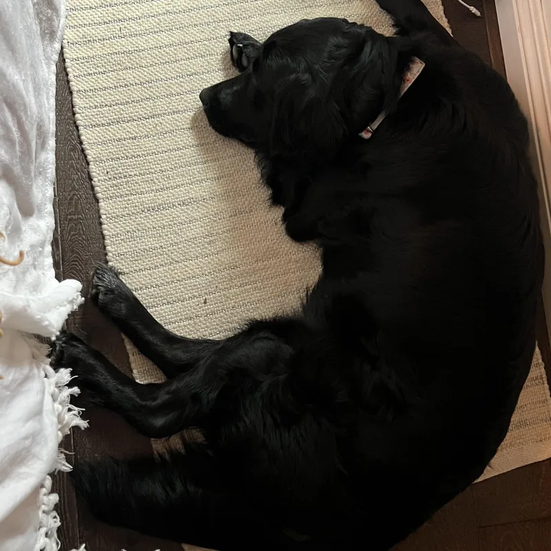 Laila~ Affectionate And Gorgeous thumbnail 5