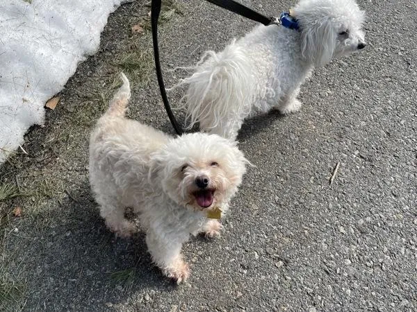 Sunshine thumbnail 2