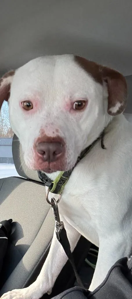 Snowcone thumbnail 2