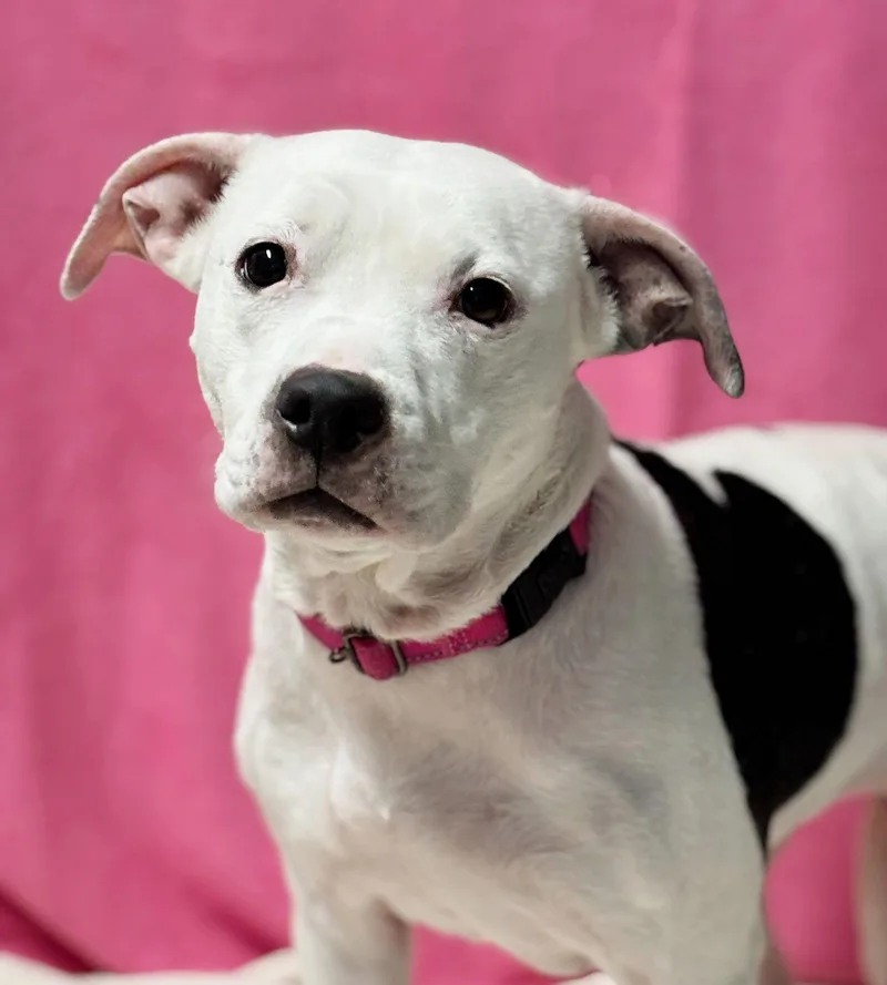 Princess thumbnail 3