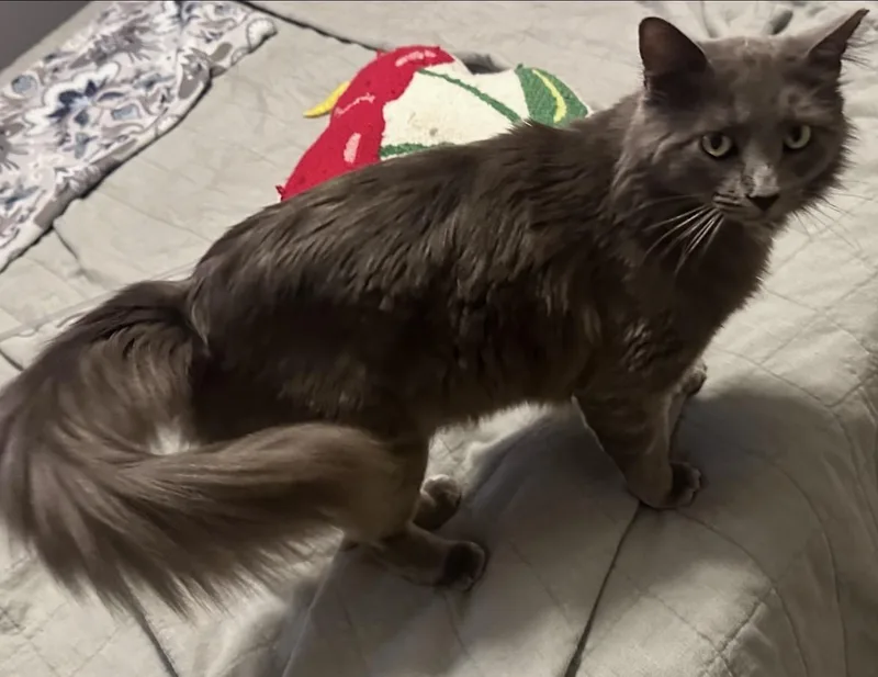 Mr. January thumbnail 3