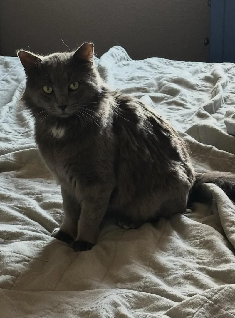 Mr. January thumbnail 4