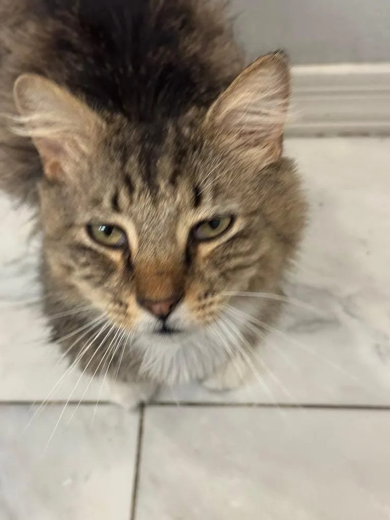 Henny Berry thumbnail 3