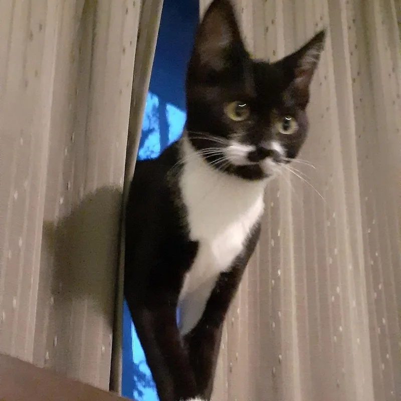 Chloe Sue thumbnail 3