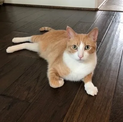 Cream And Colby  thumbnail 2