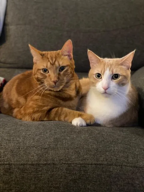 Cream And Colby 