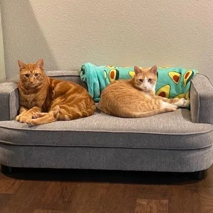 Cream And Colby  thumbnail 6