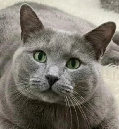 Sterling  Beautiful Eyes