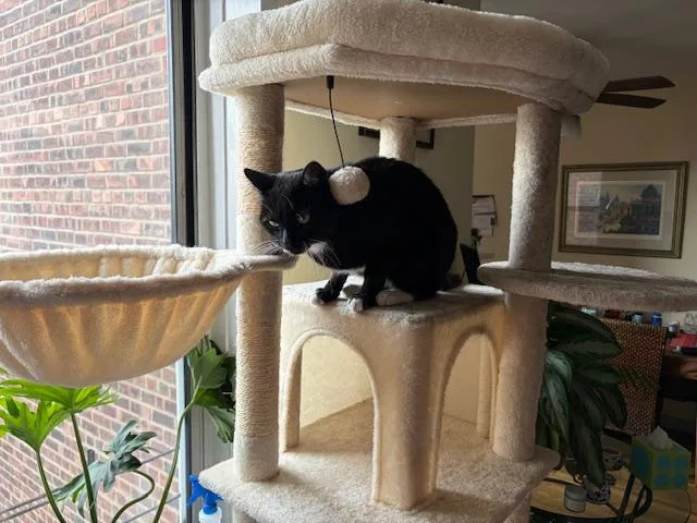 Edward Aka Eddie The thumbnail 2