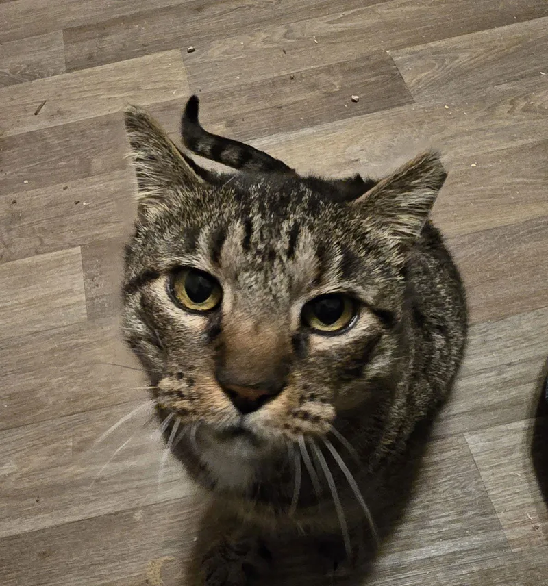 Mr Parks thumbnail 2