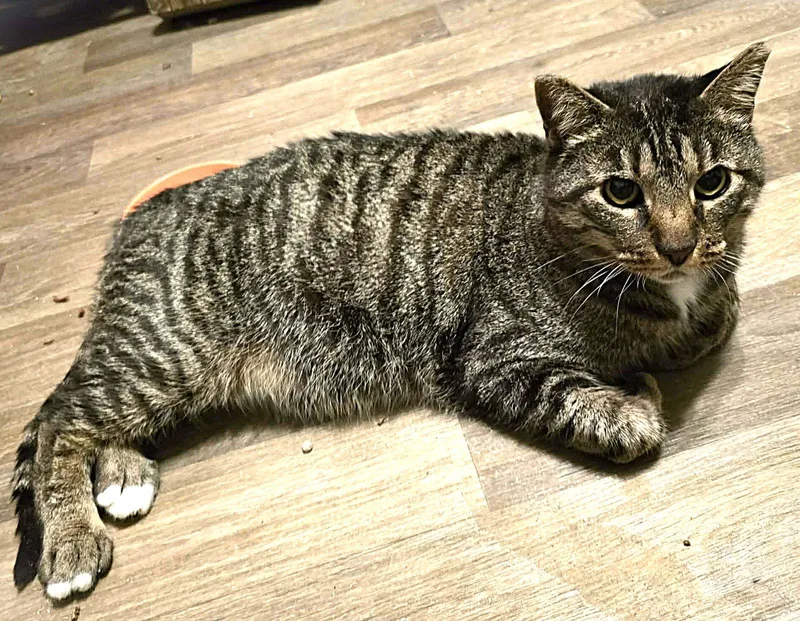 Mr Parks thumbnail 3