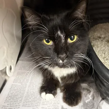 Mr. Beans thumbnail 3