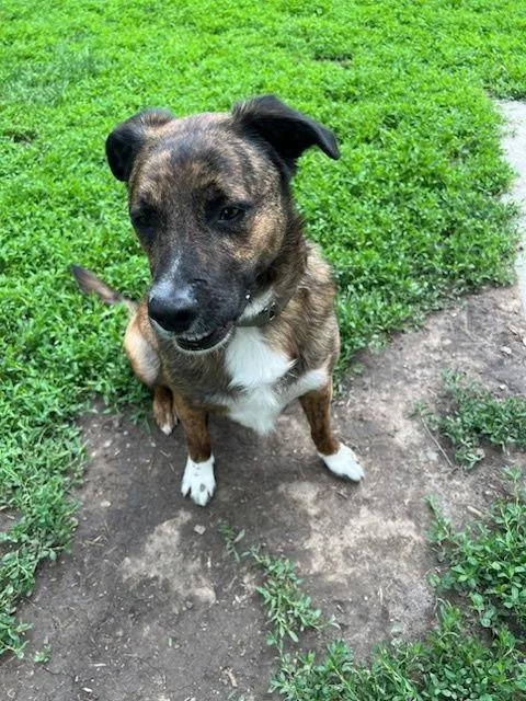 Gibbous Cl thumbnail 2