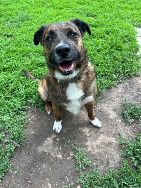 Gibbous Cl thumbnail 3