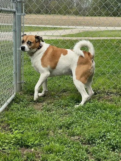 Giddion Cl thumbnail 2