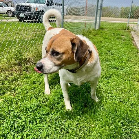 Giddion Cl thumbnail 3