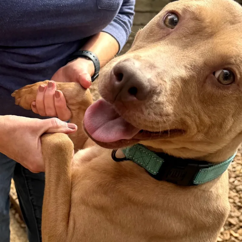 Lil Mama thumbnail 3