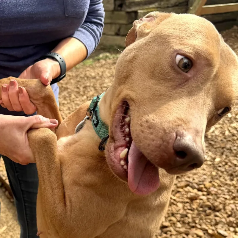 Lil Mama thumbnail 4