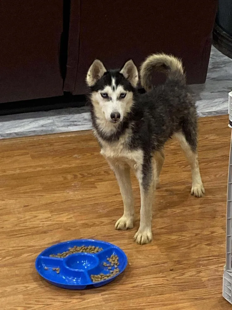 Seven Kingdoms : Baelor thumbnail 2