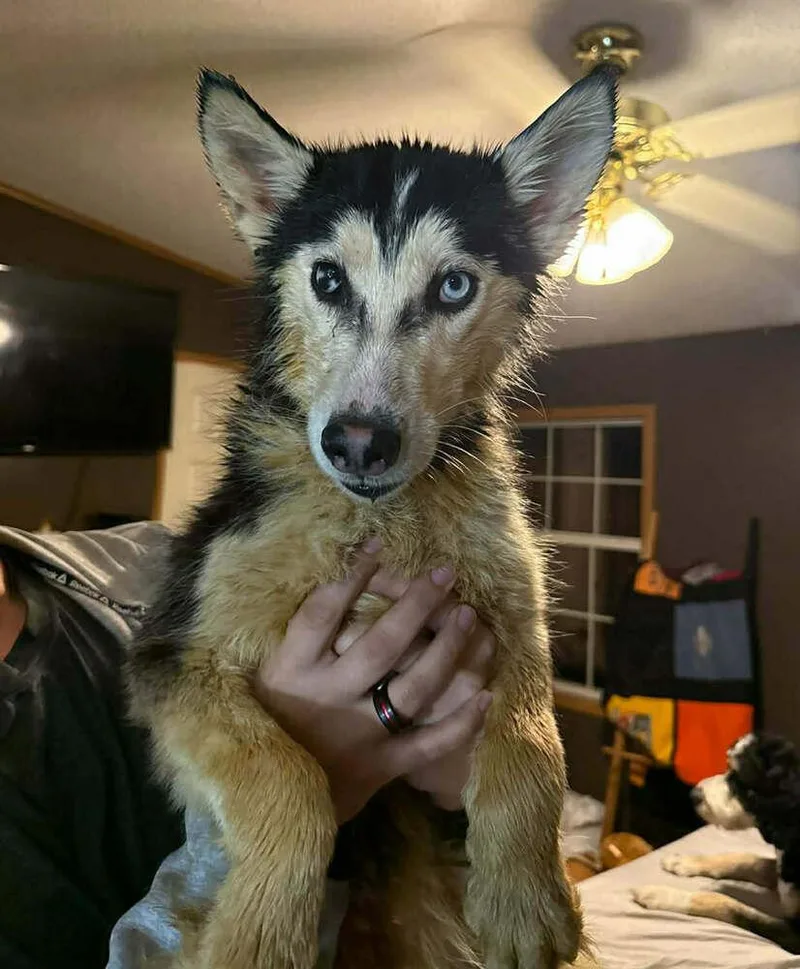 Seven Kingdoms : Baelor thumbnail 4