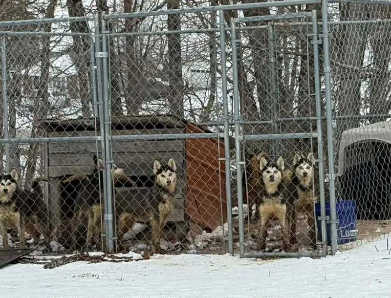 Seven Kingdoms : Baelor thumbnail 5