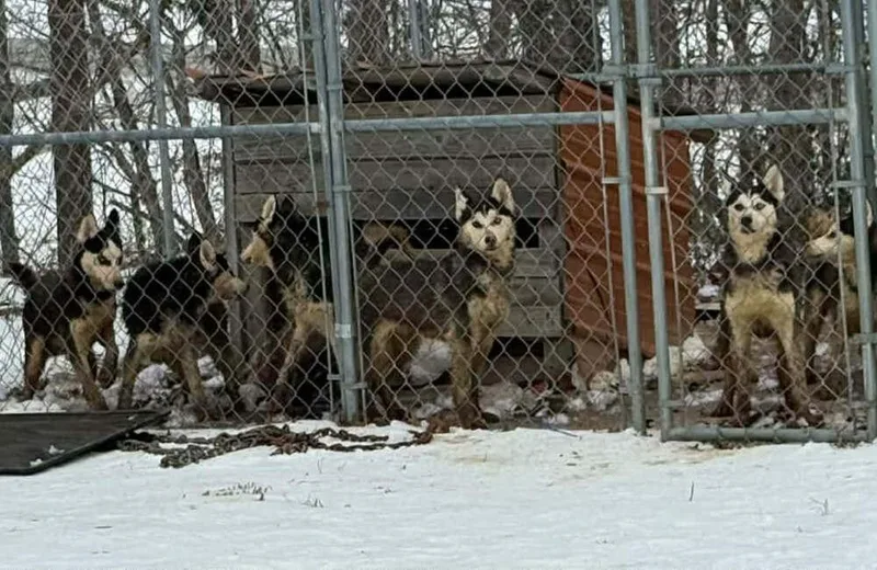 Seven Kingdoms : Egg thumbnail 2