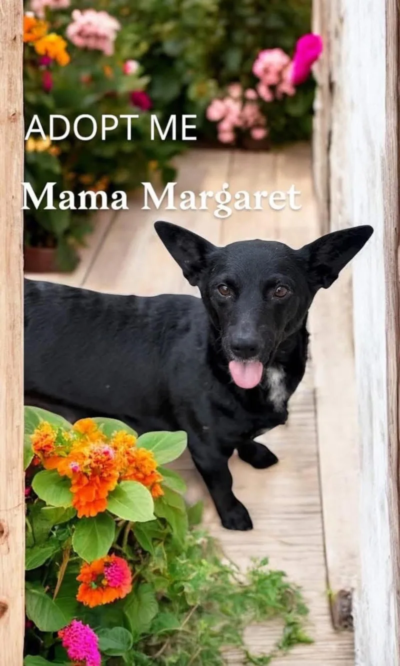 Mama Margaret