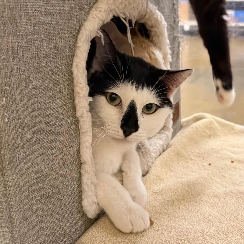 New Hampshire thumbnail 2