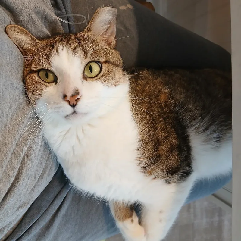 Freedman thumbnail 3