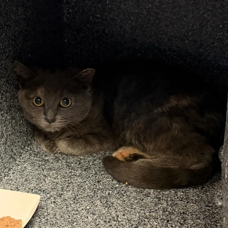 Michelle thumbnail 2