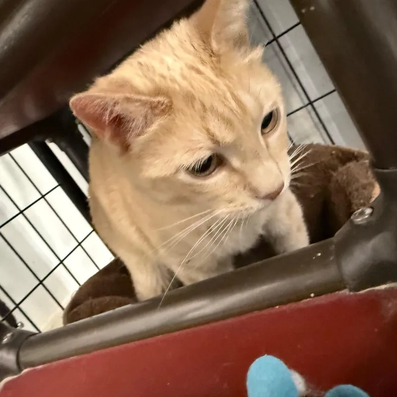Freddie thumbnail 6