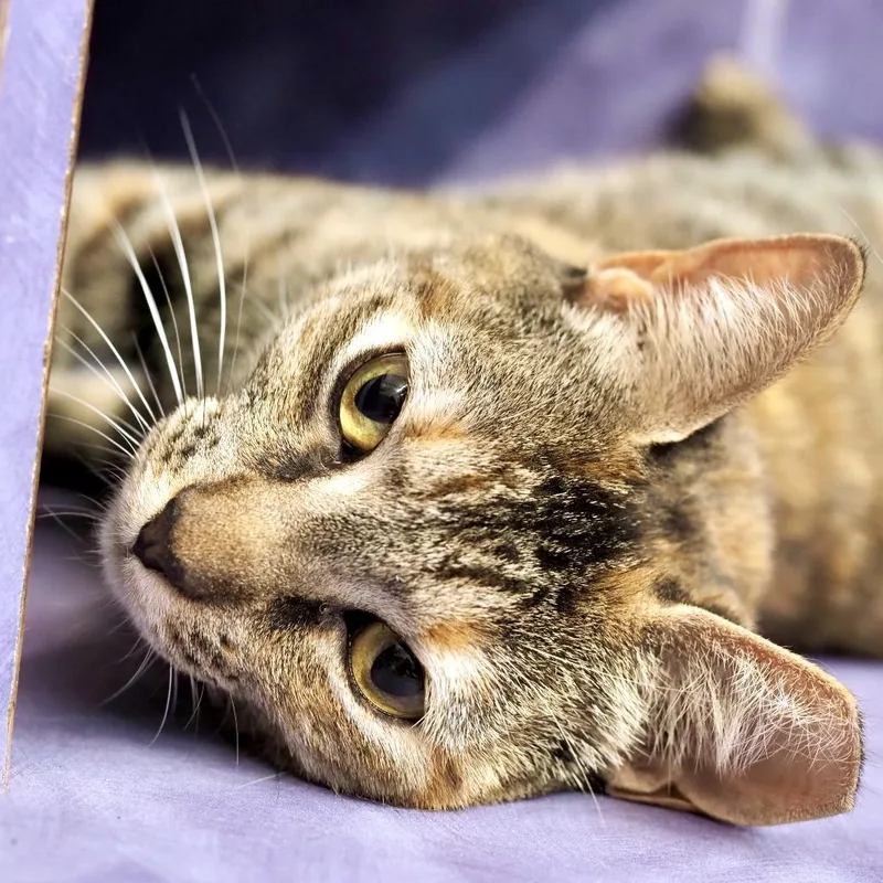 Best Wishes thumbnail 3