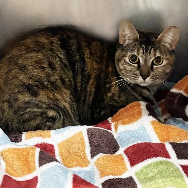 Best Wishes thumbnail 4