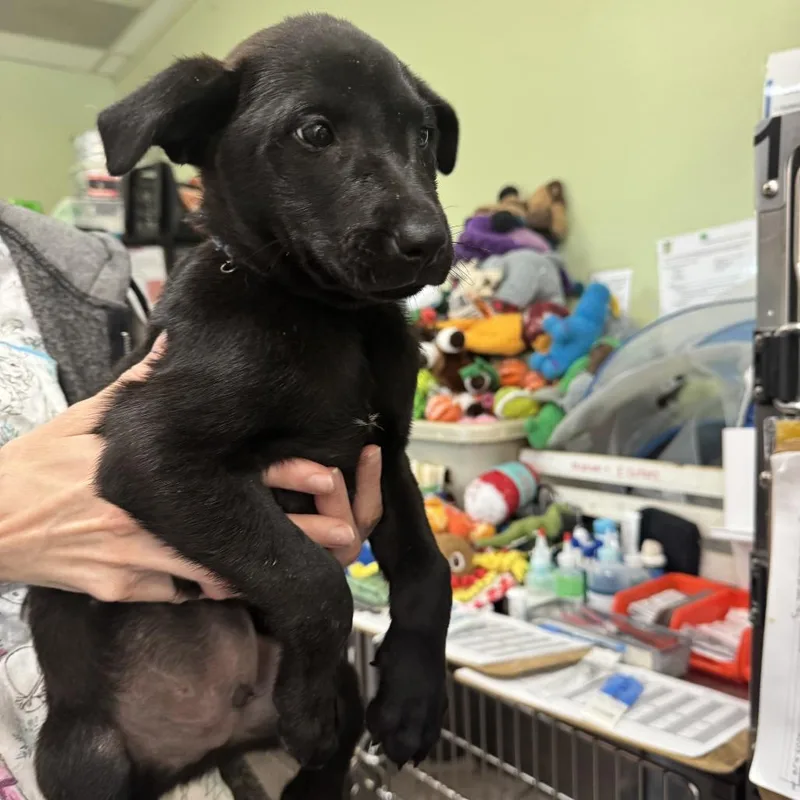 Big Blue thumbnail 2