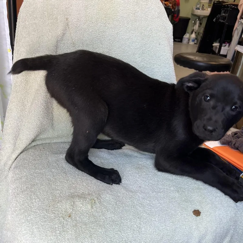 Big Blue thumbnail 3