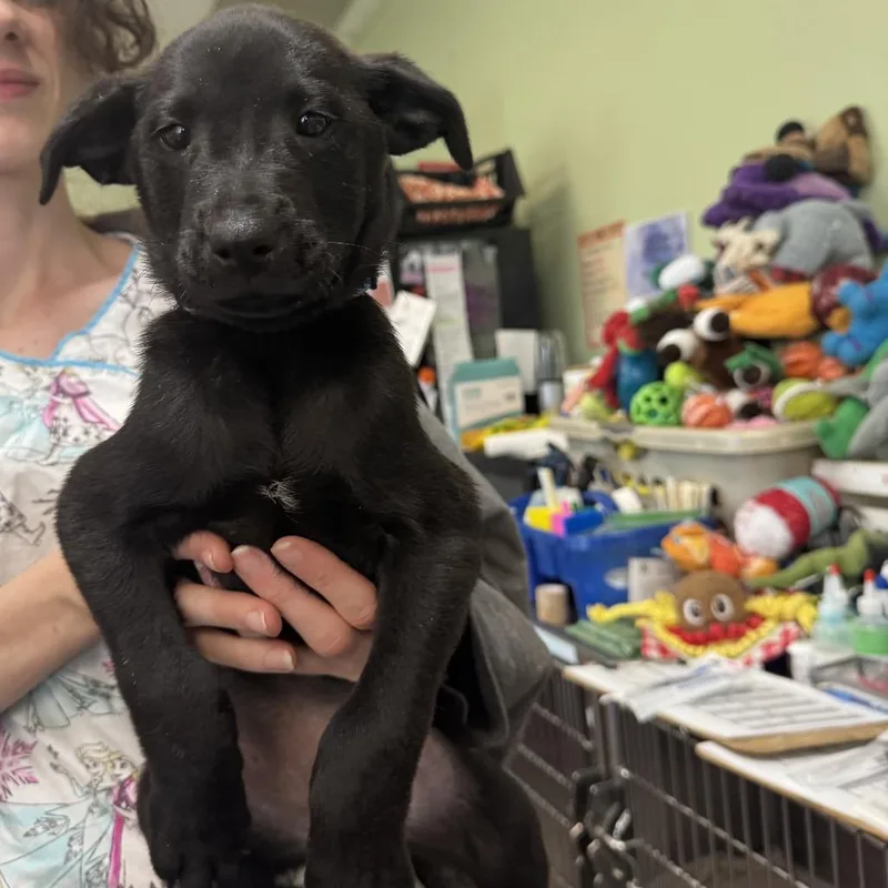 Big Blue thumbnail 4