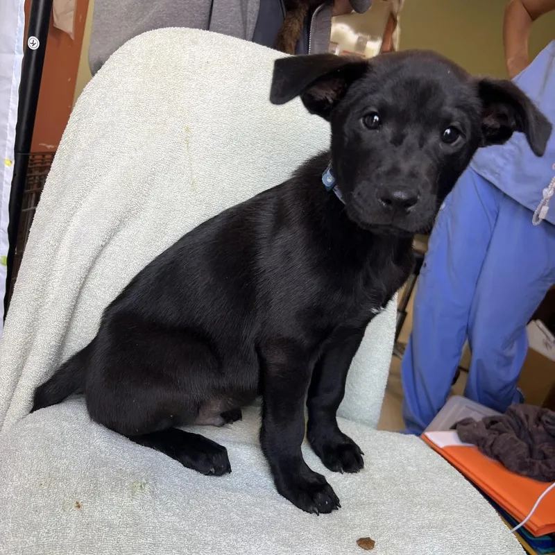 Big Blue thumbnail 6