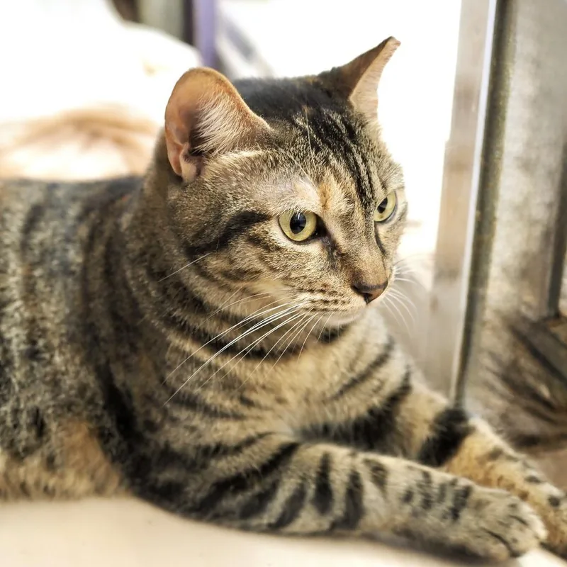 Kindest Regards thumbnail 2