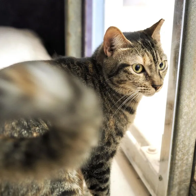 Kindest Regards thumbnail 3