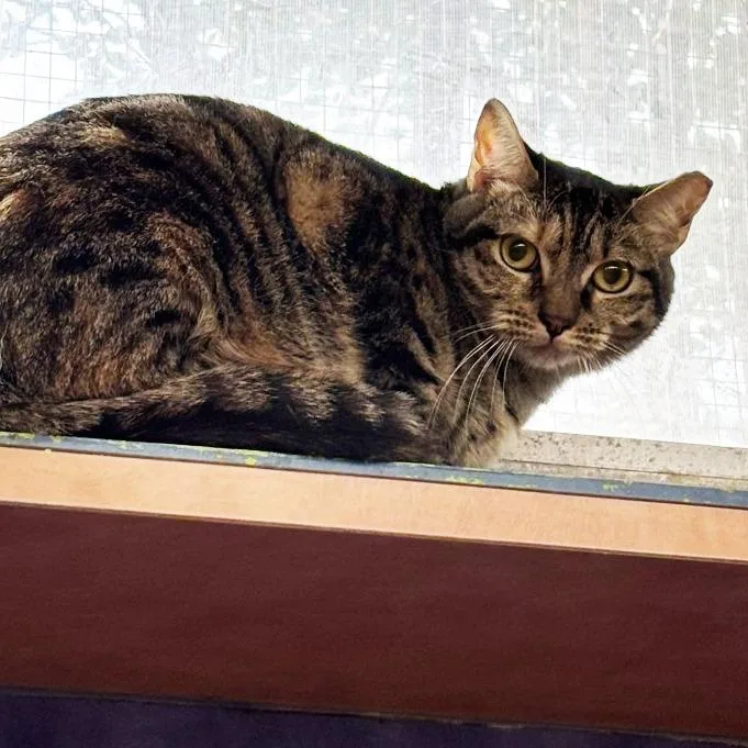 Kindest Regards thumbnail 4