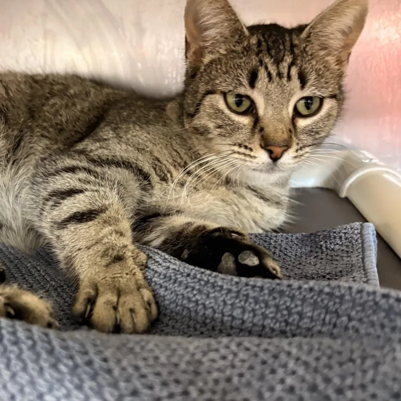 Team Strategy thumbnail 2