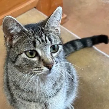 Team Strategy thumbnail 3