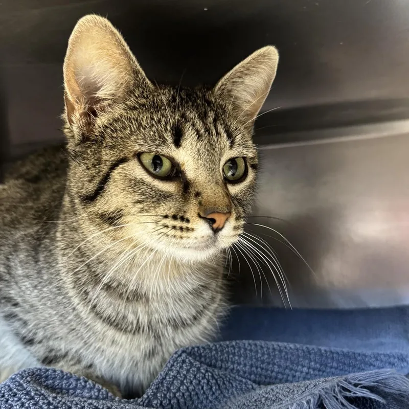 Team Strategy thumbnail 6