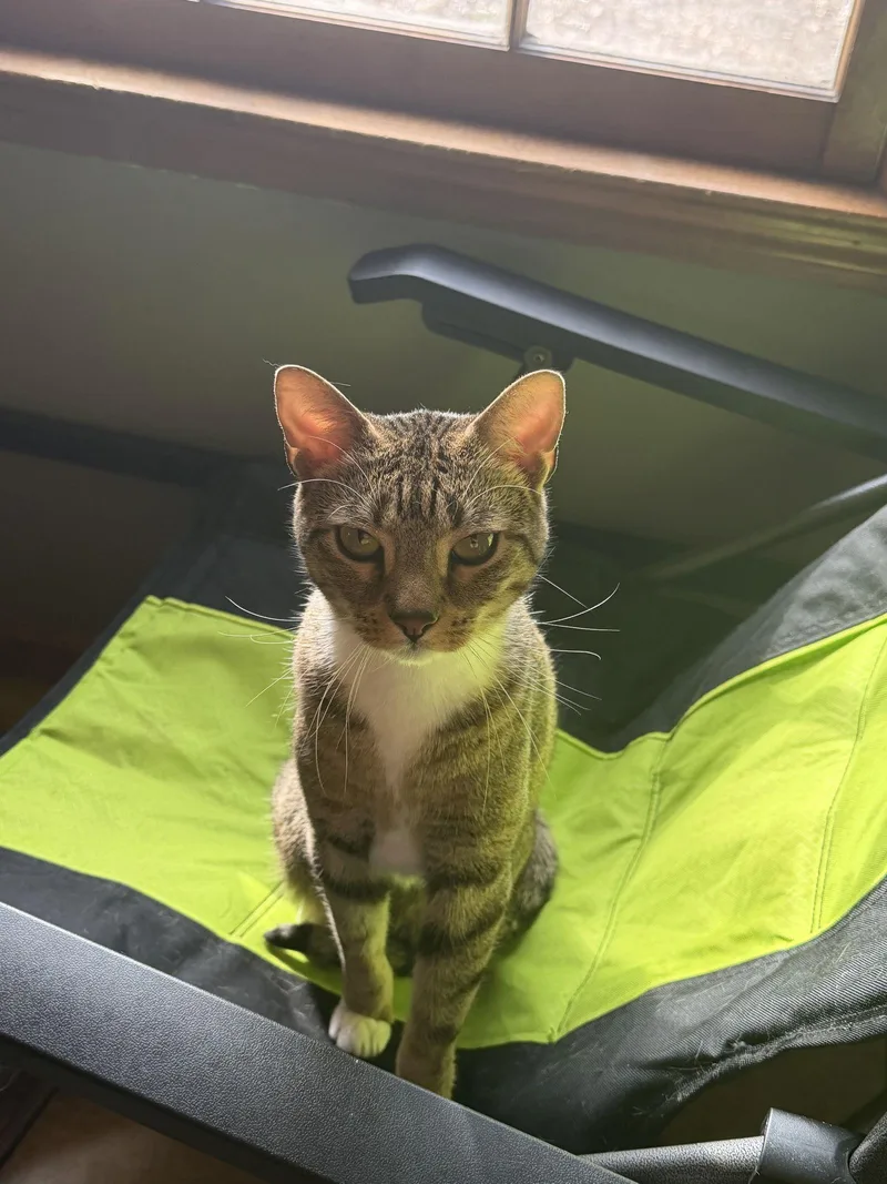 King & Prince  thumbnail 3