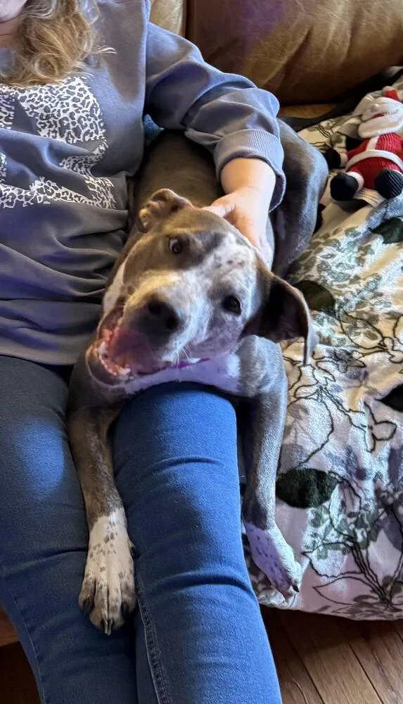 Honey Bunny thumbnail 2