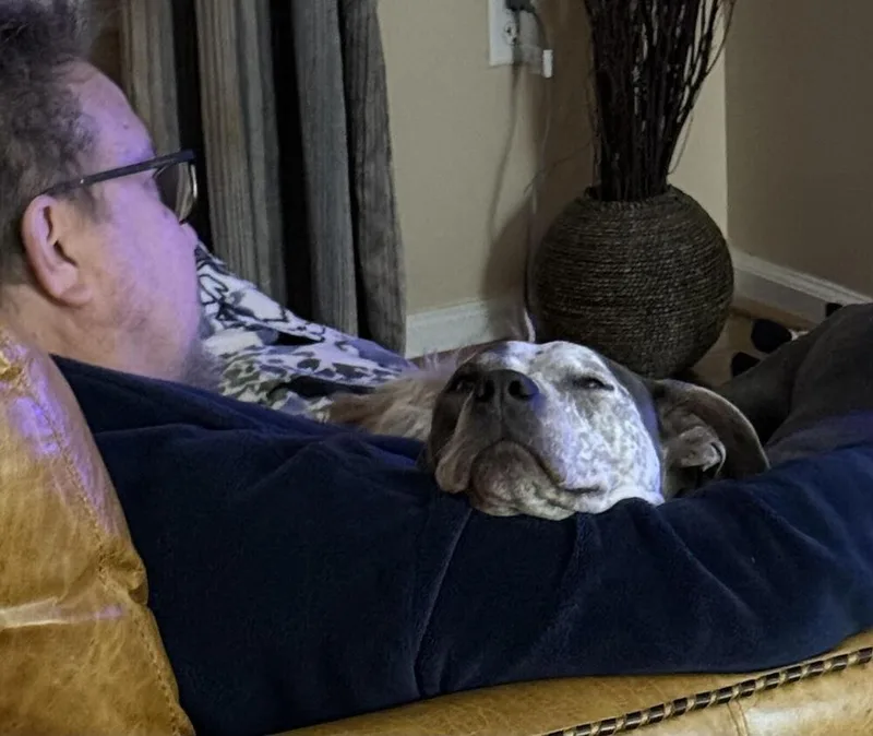 Honey Bunny thumbnail 3