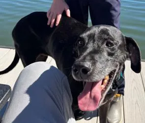 Tyson  Kid Approved!