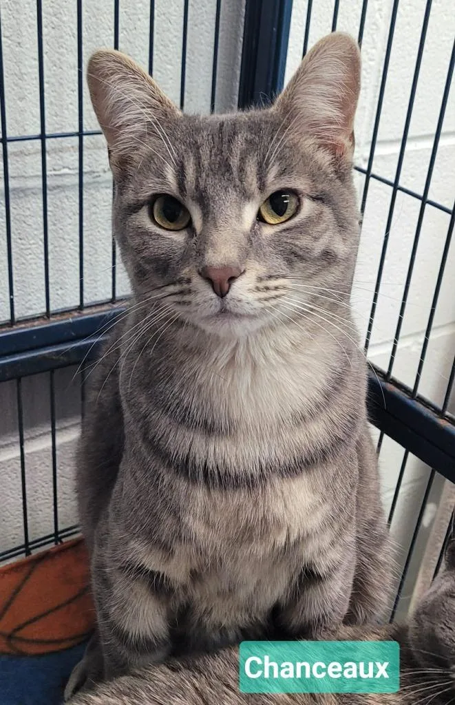 Chanceaux thumbnail 2